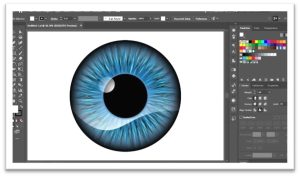 Adobe-design-example-edu4sure